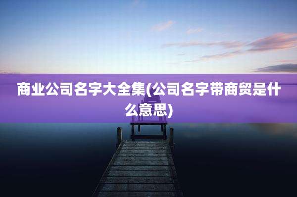 商业公司名字大全集(公司名字带商贸是什么意思)