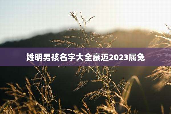 姓明男孩名字大全豪迈2023属兔