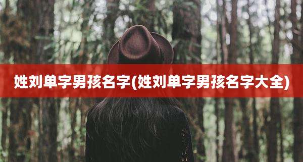 姓刘单字男孩名字(姓刘单字男孩名字大全)
