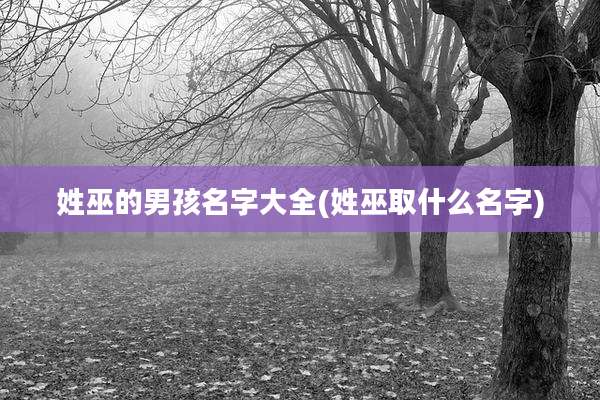 姓巫的男孩名字大全(姓巫取什么名字)