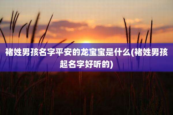 褚姓男孩名字平安的龙宝宝是什么(褚姓男孩起名字好听的)