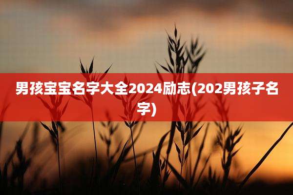 男孩宝宝名字大全2024励志(202男孩子名字)