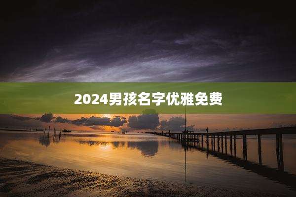 2024男孩名字优雅免费