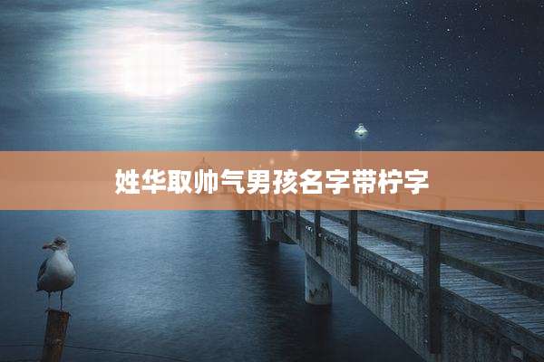 姓华取帅气男孩名字带柠字