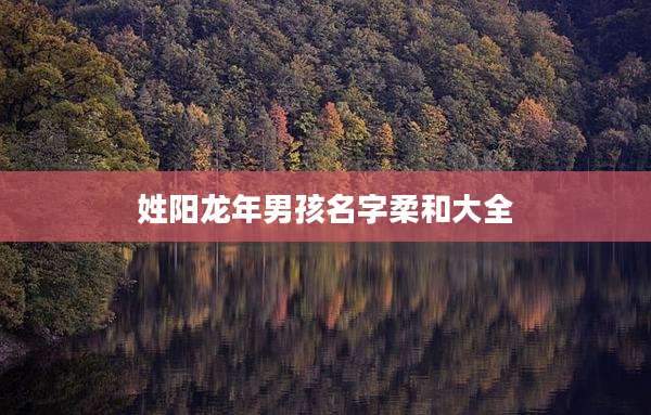 姓阳龙年男孩名字柔和大全