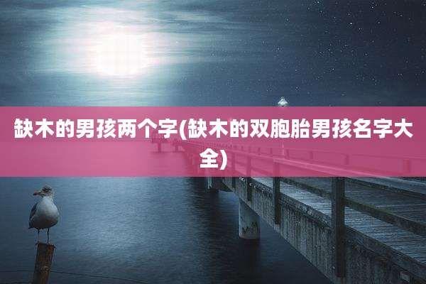 缺木的男孩两个字(缺木的双胞胎男孩名字大全)