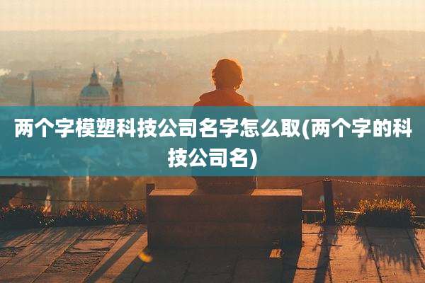 两个字模塑科技公司名字怎么取(两个字的科技公司名)