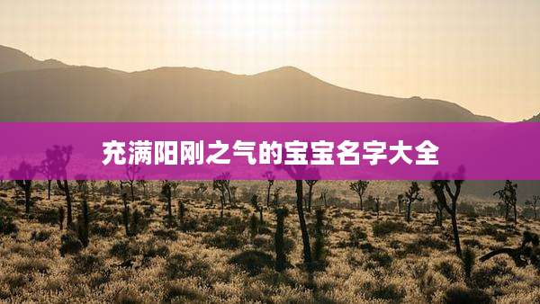 充满阳刚之气的宝宝名字大全