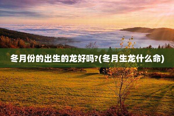 冬月份的出生的龙好吗?(冬月生龙什么命)