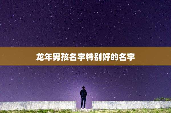 龙年男孩名字特别好的名字