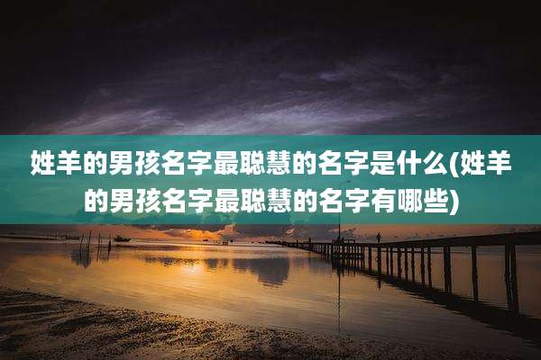 姓羊的男孩名字最聪慧的名字是什么(姓羊的男孩名字最聪慧的名字有哪些)