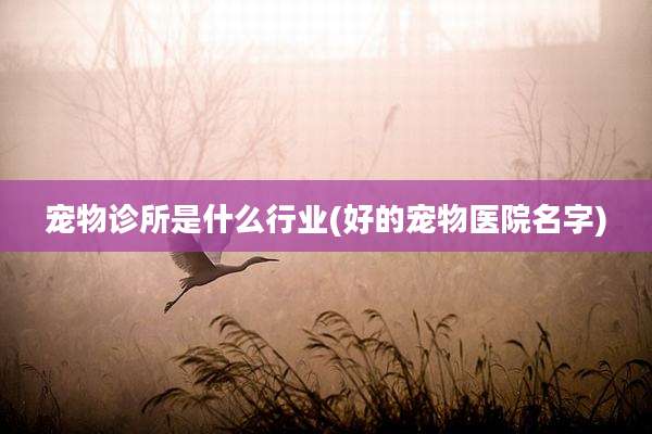 宠物诊所是什么行业(好的宠物医院名字)