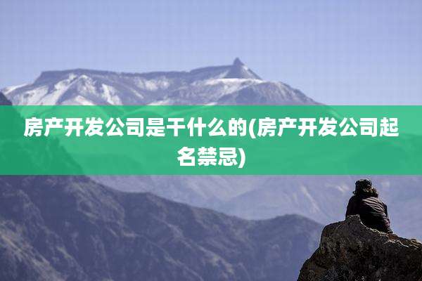 房产开发公司是干什么的(房产开发公司起名禁忌)