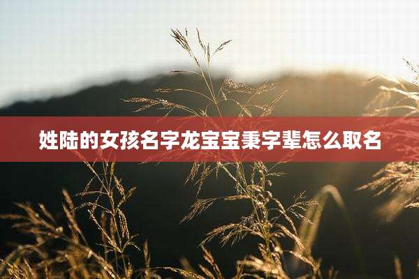 姓陆的女孩名字龙宝宝秉字辈怎么取名