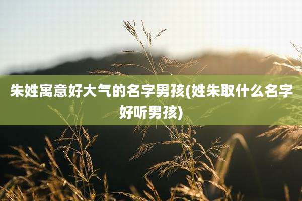 朱姓寓意好大气的名字男孩(姓朱取什么名字好听男孩)