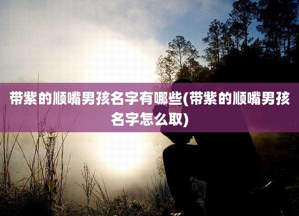 带紫的顺嘴男孩名字有哪些(带紫的顺嘴男孩名字怎么取)