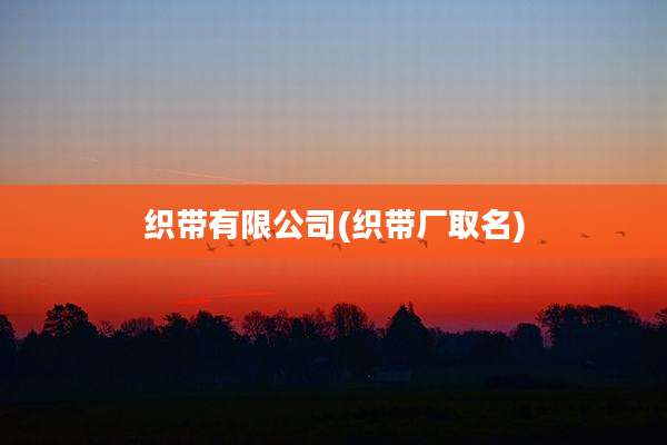 织带有限公司(织带厂取名)