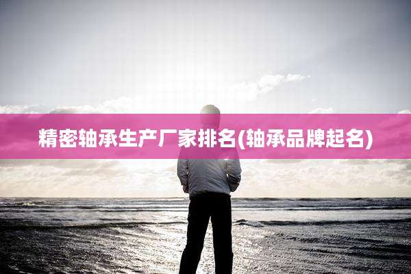 精密轴承生产厂家排名(轴承品牌起名)
