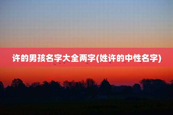 许的男孩名字大全两字(姓许的中性名字)