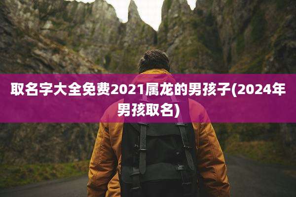 取名字大全免费2021属龙的男孩子(2024年男孩取名)