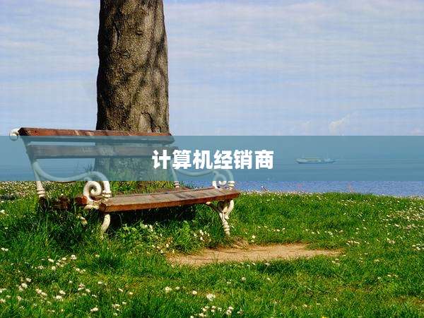计算机经销商