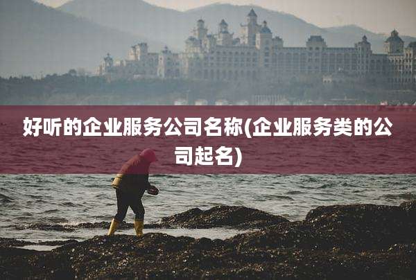 好听的企业服务公司名称(企业服务类的公司起名)