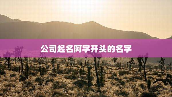公司起名阿字开头的名字