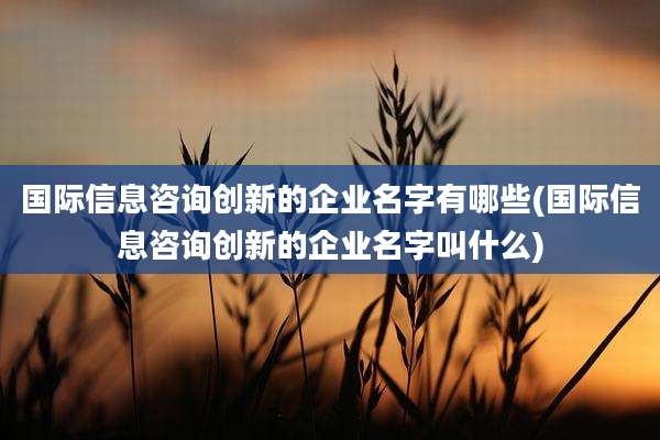 国际信息咨询创新的企业名字有哪些(国际信息咨询创新的企业名字叫什么)