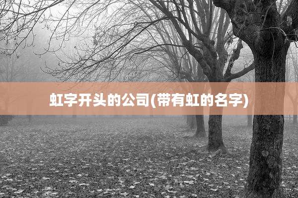 虹字开头的公司(带有虹的名字)
