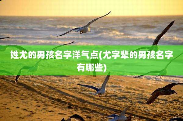 姓尤的男孩名字洋气点(尤字辈的男孩名字有哪些)