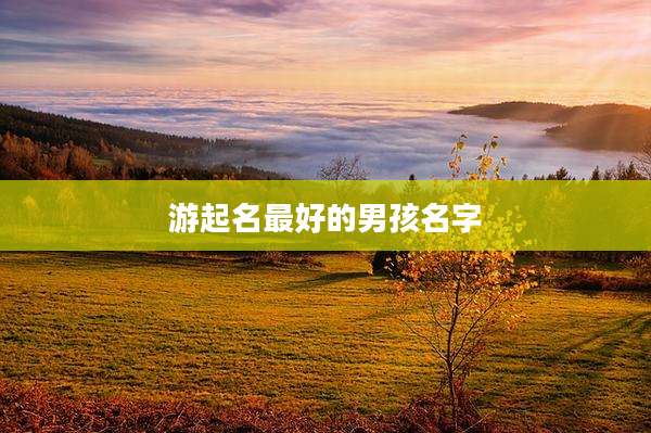 游起名最好的男孩名字