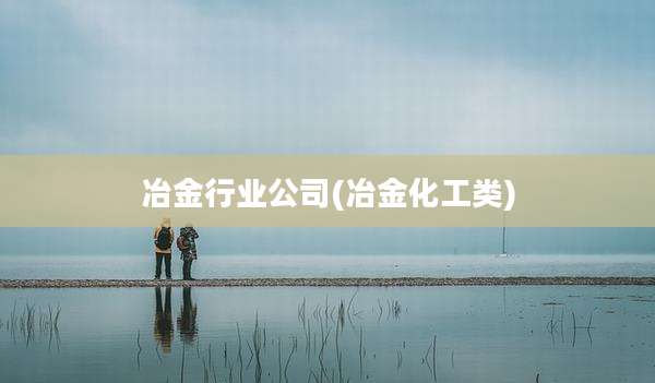 冶金行业公司(冶金化工类)