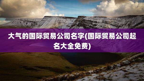大气的国际贸易公司名字(国际贸易公司起名大全免费)