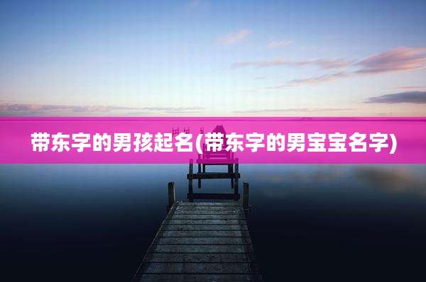 带东字的男孩起名(带东字的男宝宝名字)