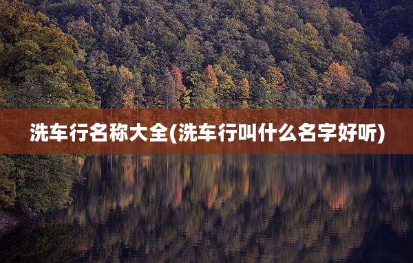 洗车行名称大全(洗车行叫什么名字好听)