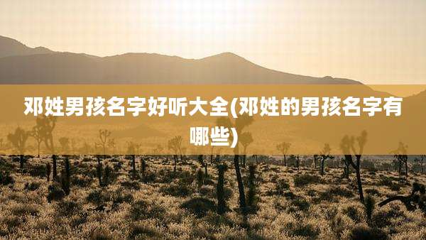 邓姓男孩名字好听大全(邓姓的男孩名字有哪些)