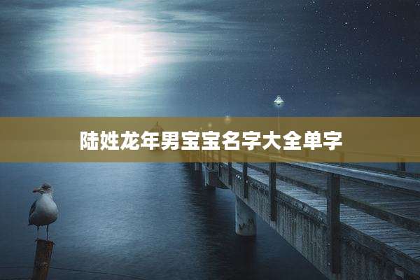 陆姓龙年男宝宝名字大全单字