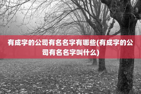 有成字的公司有名名字有哪些(有成字的公司有名名字叫什么)