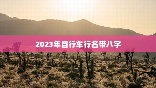 2023年自行车行名带八字