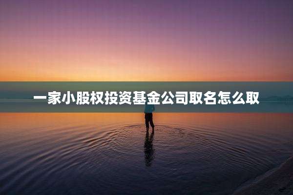 一家小股权投资基金公司取名怎么取