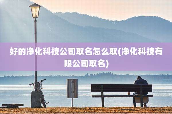 好的净化科技公司取名怎么取(净化科技有限公司取名)