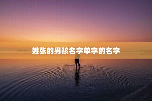 姓张的男孩名字单字的名字