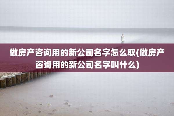 做房产咨询用的新公司名字怎么取(做房产咨询用的新公司名字叫什么)