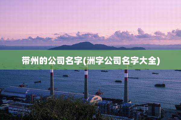 带州的公司名字(洲字公司名字大全)