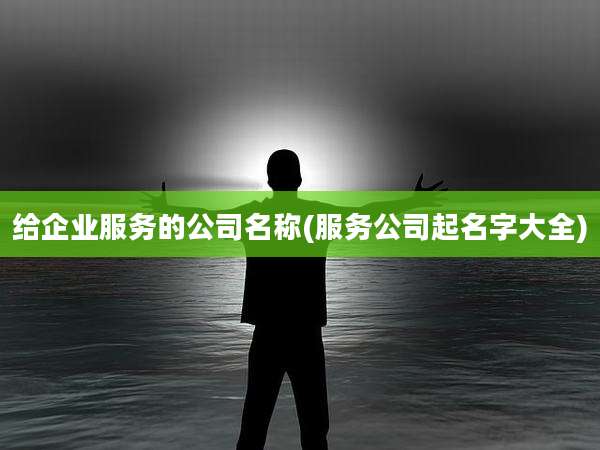 给企业服务的公司名称(服务公司起名字大全)