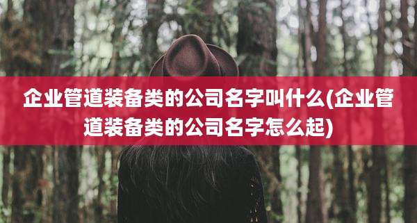 企业管道装备类的公司名字叫什么(企业管道装备类的公司名字怎么起)