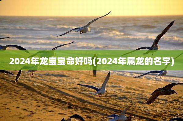 2024年龙宝宝命好吗(2024年属龙的名字)