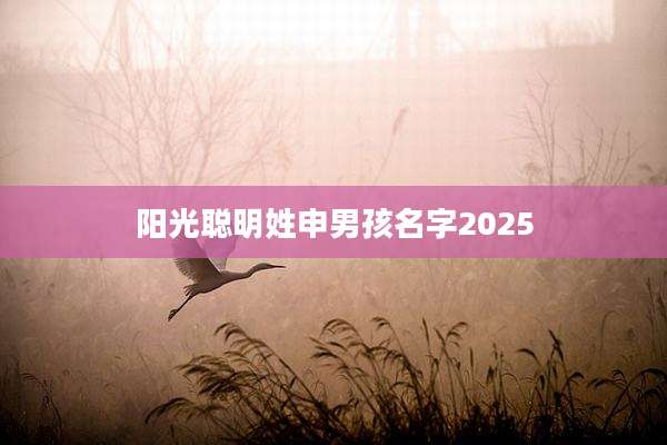 阳光聪明姓申男孩名字2025