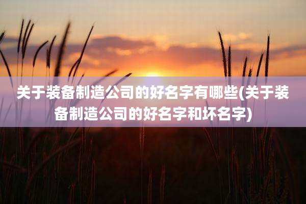 关于装备制造公司的好名字有哪些(关于装备制造公司的好名字和坏名字)