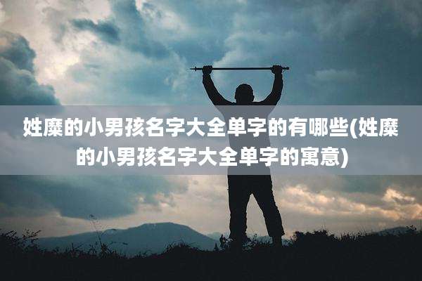 姓糜的小男孩名字大全单字的有哪些(姓糜的小男孩名字大全单字的寓意)